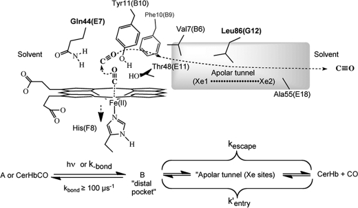 SCHEME 1