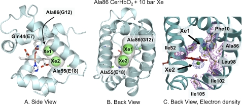 FIGURE 1.