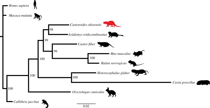 Figure 5.