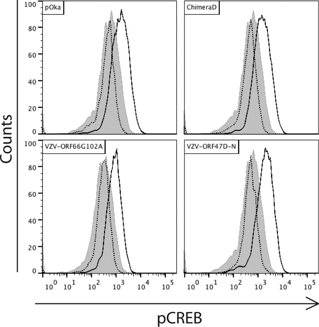 FIG 3