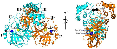 Figure 20