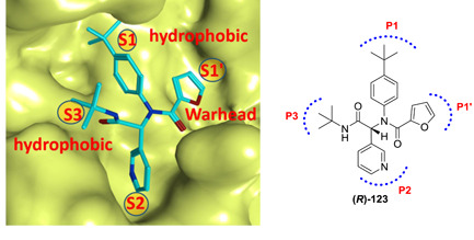 Figure 31