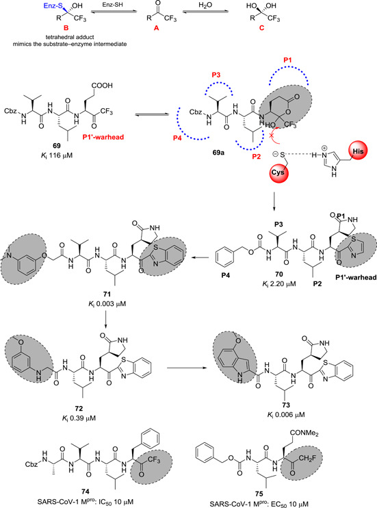 Figure 22