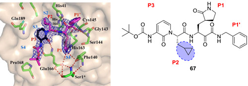 Figure 21