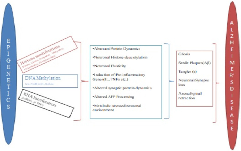 Fig. (3)