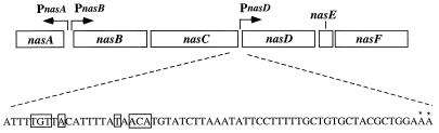 FIG. 1