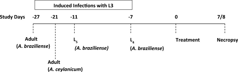 graphic file with name 13071_2025_6758_Figa_HTML.jpg
