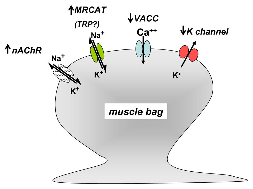 Fig. 10