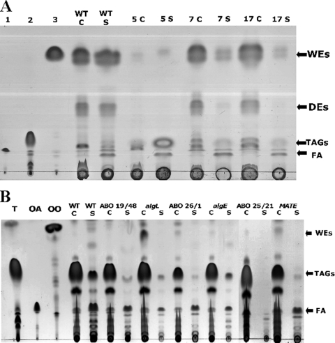 FIG. 5.