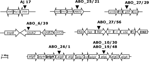 FIG. 6.