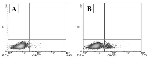 Figure 5)