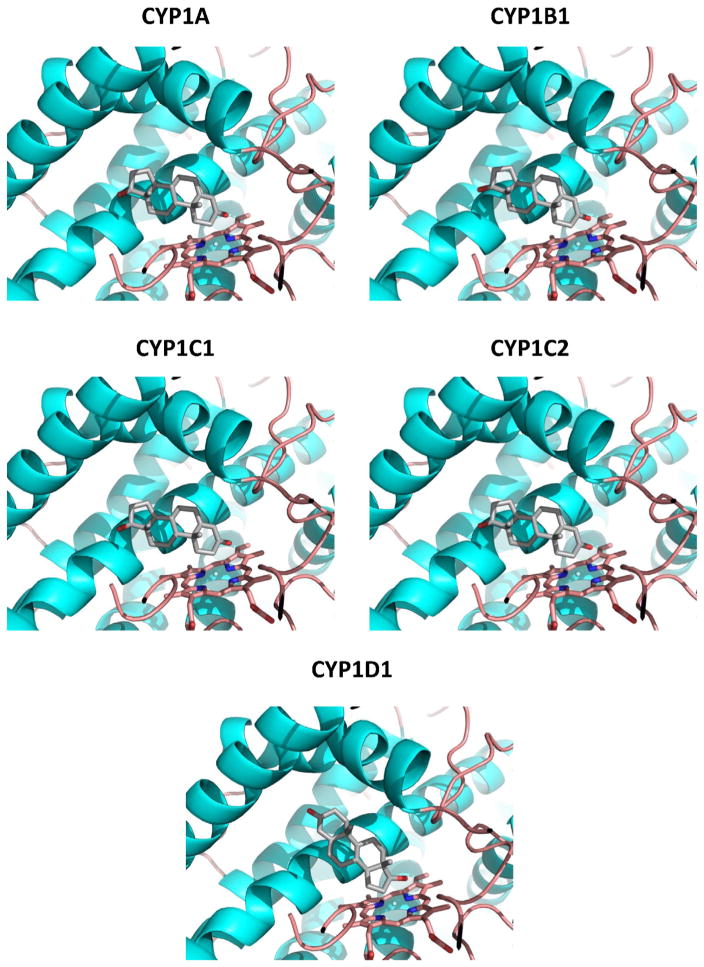 Fig. 8