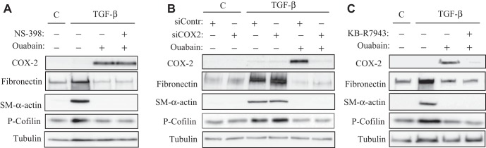 Fig. 8.