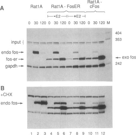 graphic file with name pnas01062-0059-a.jpg