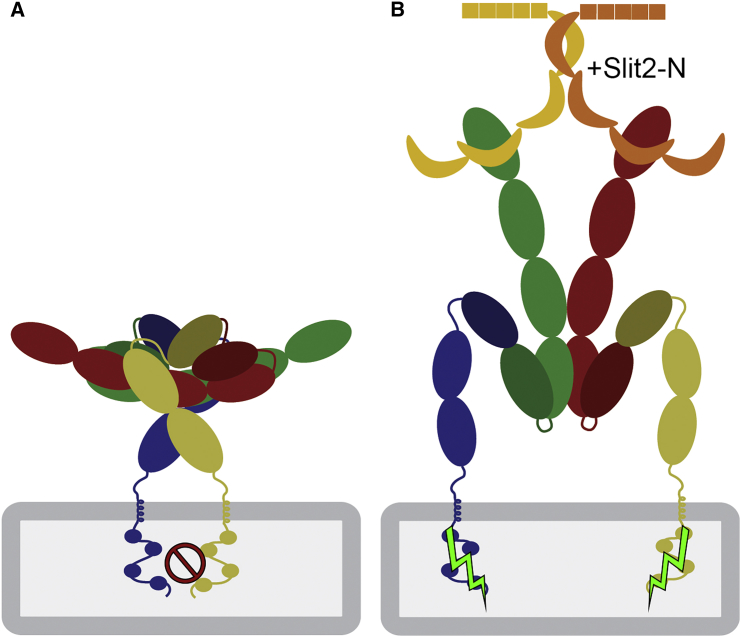 Figure 4