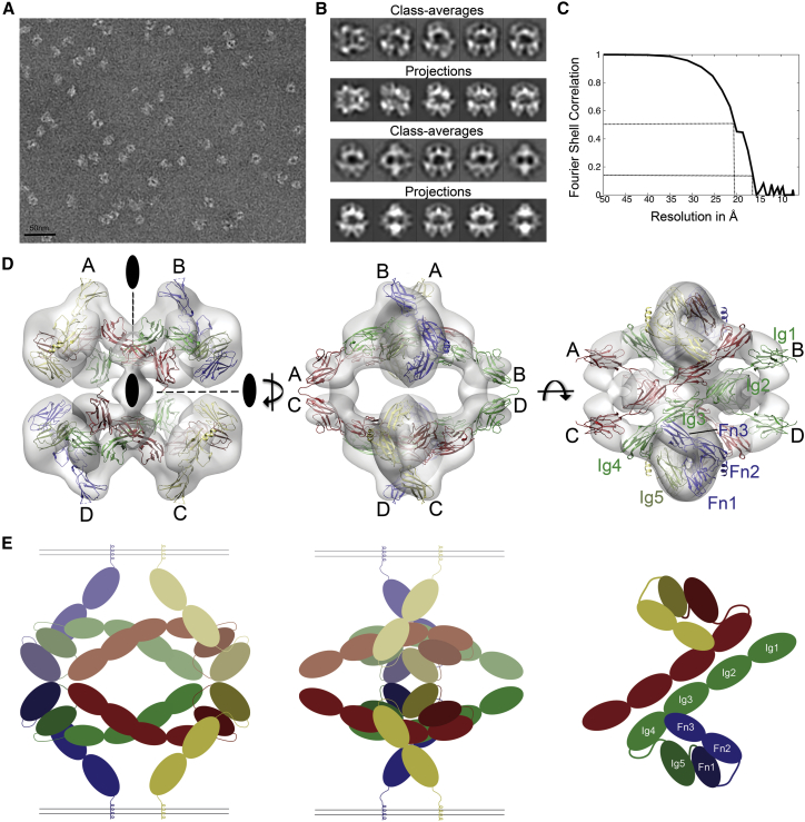 Figure 2