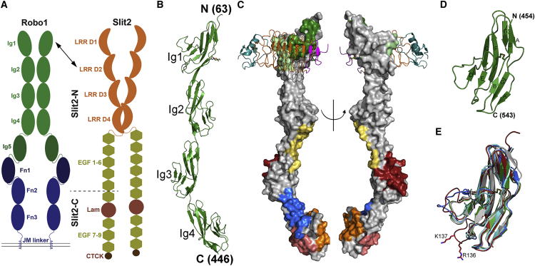 Figure 1