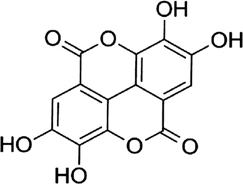 Fig. 1