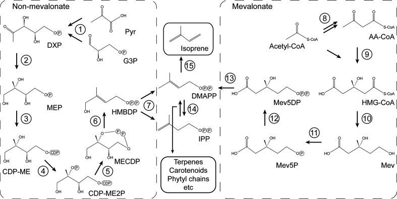 Fig. 1.