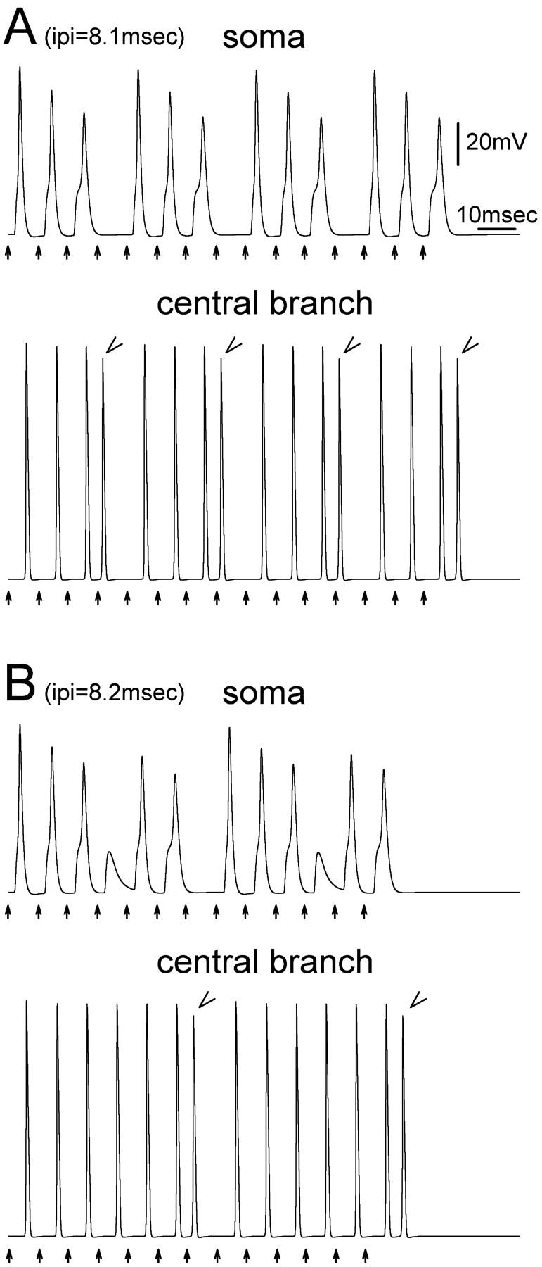 FIGURE 8