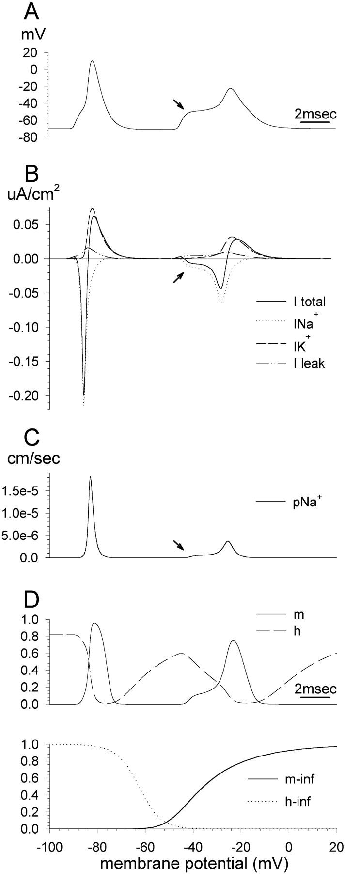 FIGURE 3