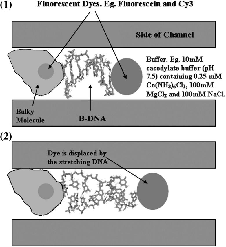 FIGURE 16