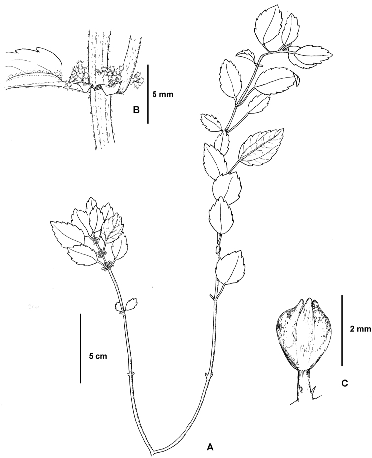 Figure 4.