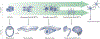 Figure 2 |