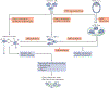 Figure 1 |