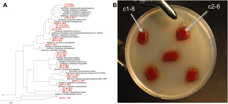 Figure 3