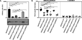FIG 5