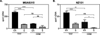 FIG 2