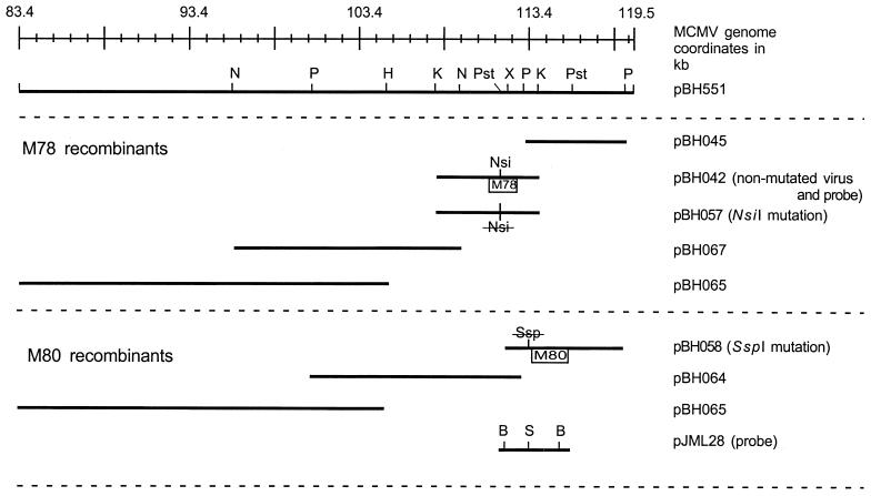 FIG. 6