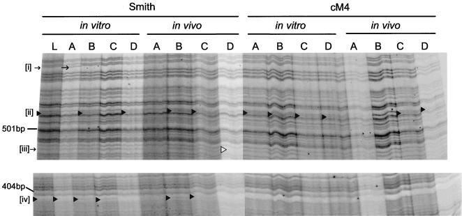 FIG. 5