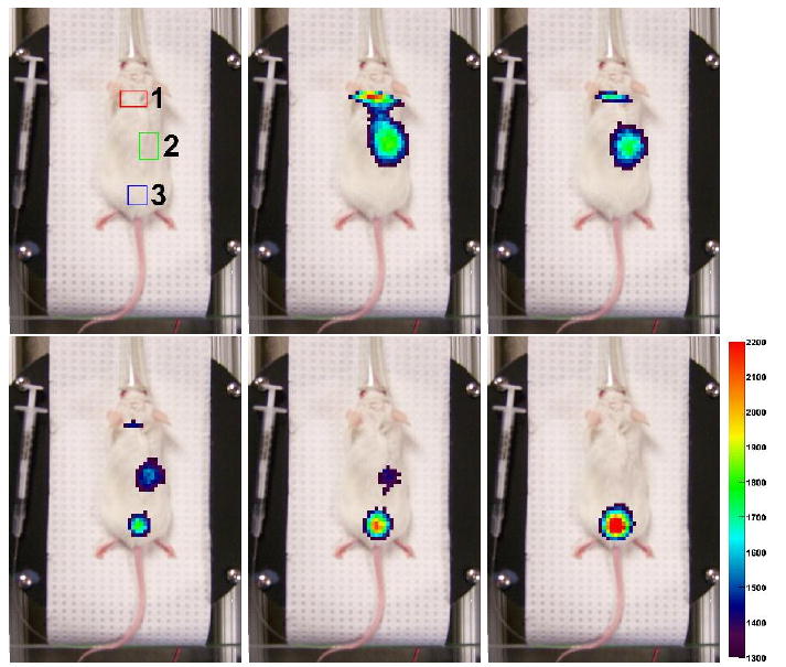 Figure 10