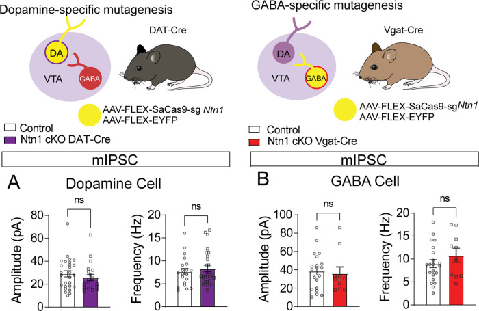 Figure 3—figure supplement 1.