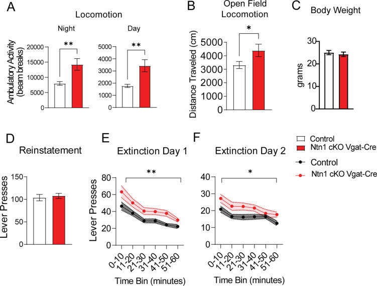 Figure 5—figure supplement 1.