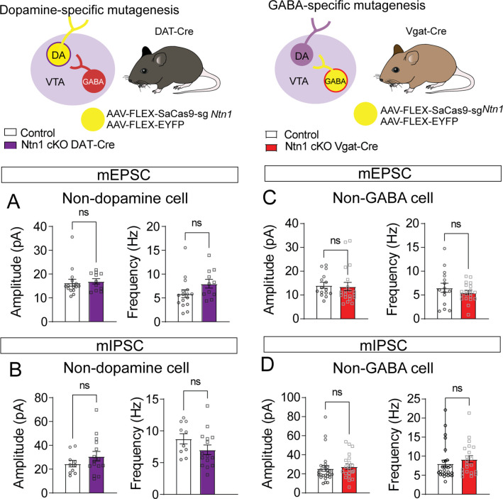 Figure 3—figure supplement 2.