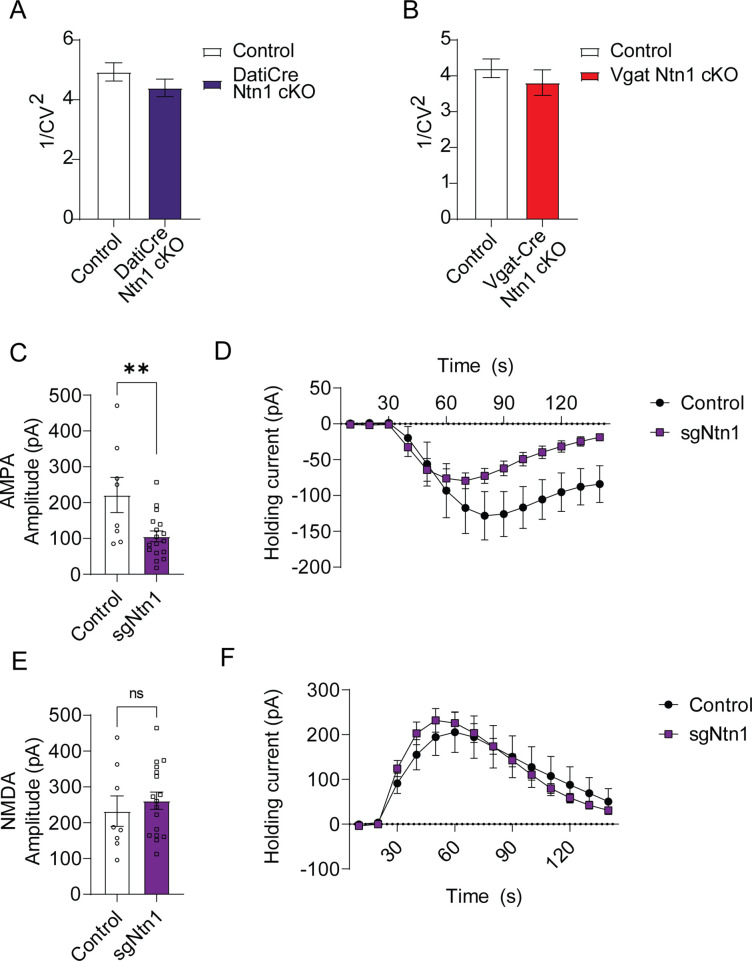 Figure 3—figure supplement 3.