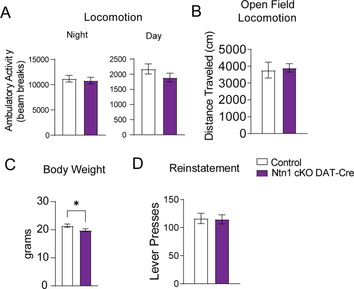 Figure 4—figure supplement 1.