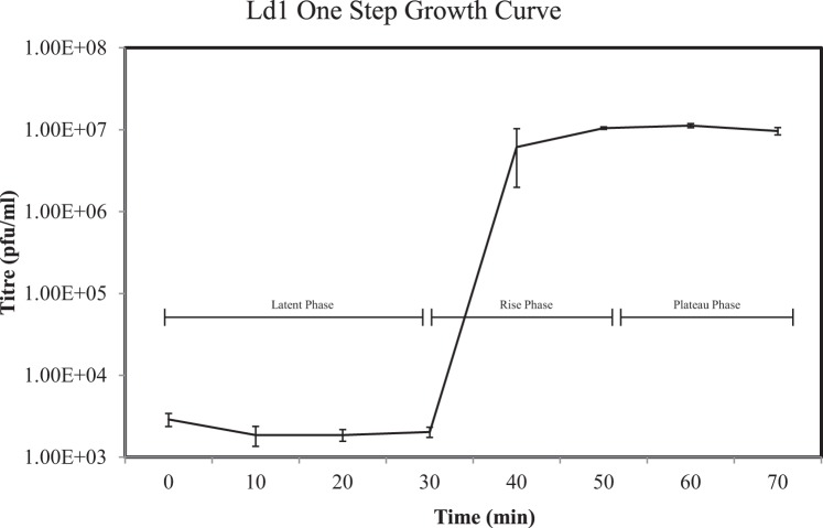 FIG 2