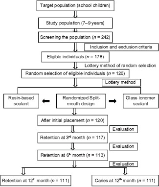 Flow Chart 1