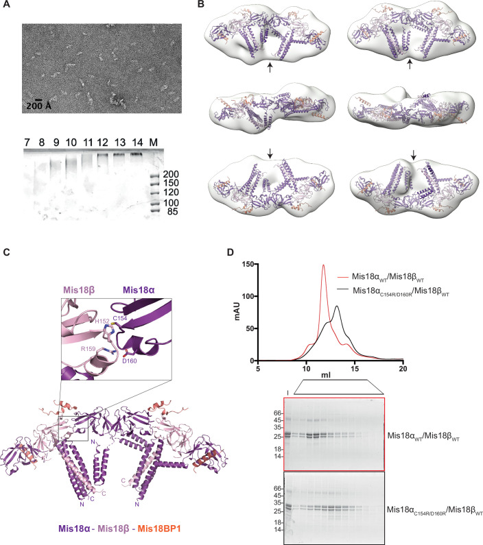 Figure EV3