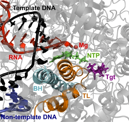 FIGURE 4.