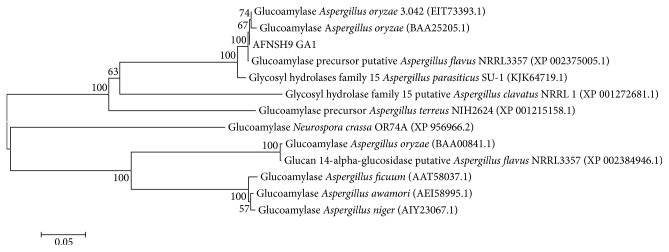 Figure 1