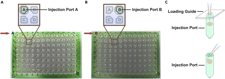 Figure 4