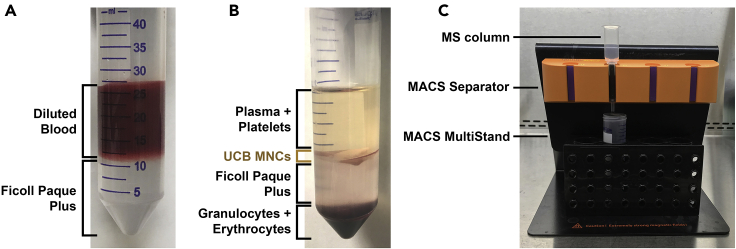 Figure 1