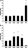 Fig. 3