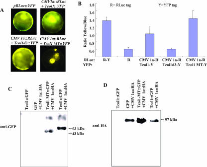 FIG. 4.