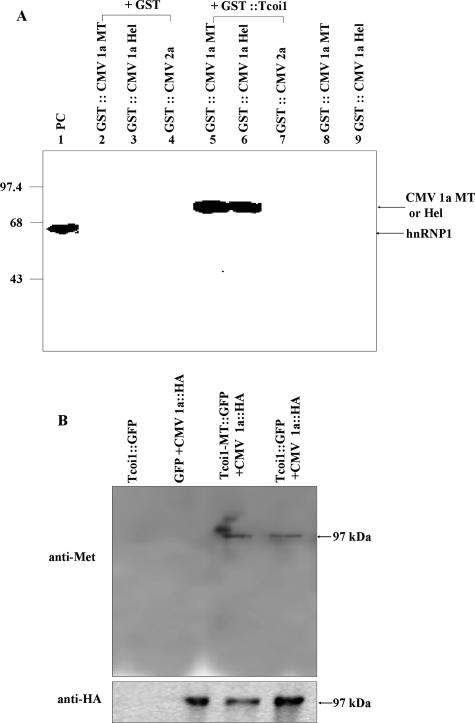 FIG. 5.